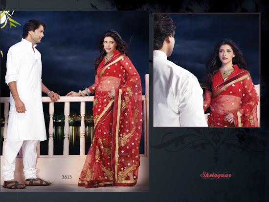 Design 3813 Saree with heavy Embroidery work with satin peticoat