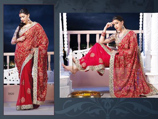 Design 3820 Saree with Traditional work & beautiful border paching