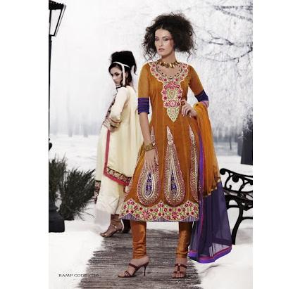 Design RC 120 NET ANARKALI WITH HEAVY BORDER AND KALI STYLE