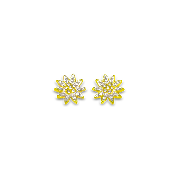 SENORITAS Elegant Stones Studded Earrings
